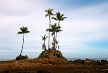Corcovado National Park